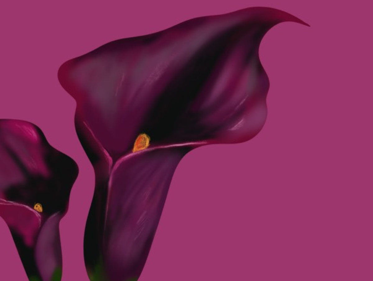 Detailansicht von In Bloom mit dunkelvioletten Calla-Blüten, türkisfarbenem Glas, Wasserreflexen und pinkem Hintergrund.