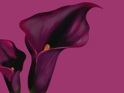 Detailansicht von In Bloom mit dunkelvioletten Calla-Blüten, türkisfarbenem Glas, Wasserreflexen und pinkem Hintergrund.
