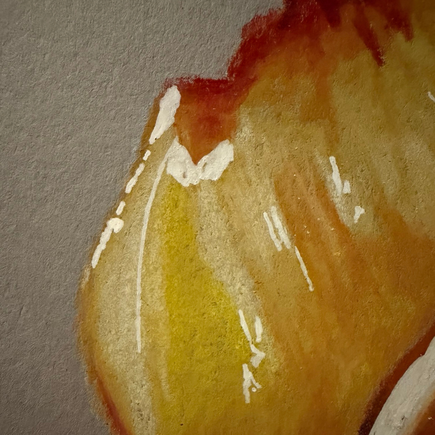 NectarDrop - Originalzeichnung